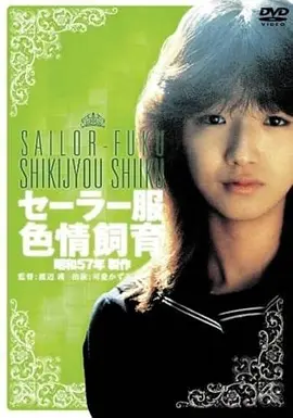 重生1998我靠一箱磁带发家短剧全集封面